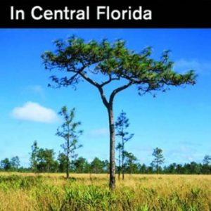 50 Hikes in Central Florida: Hikes, Walks, and Backpacks in the Heart of the Peninsula