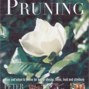 A Practical Guide to Pruning