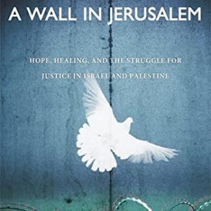 A Wall in Jerusalem: Hope, Healing, and the Struggle for Justice in Israel and Palestine