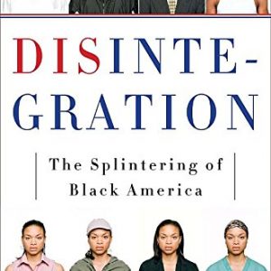 Disintegration: The Splintering of Black America