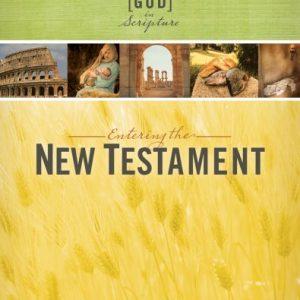 Entering the New Testament, Participant's Workbook (Meeting God in Scripture)