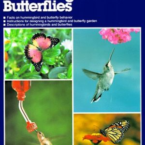 How to Attract Hummingbirds & Butterflies