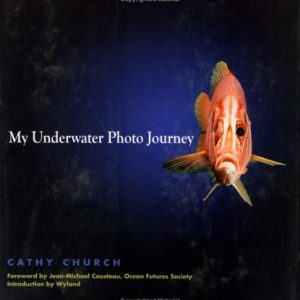 My Underwater Photo Journey