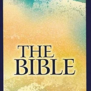 NIV, Holy Bible, Larger Print, Paperback