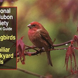 National Audubon Society Pocket Guide to Songbirds and Familiar Backyard Birds: Eastern Region (National Audubon Society Pocket Guides)