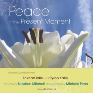 Peace in the Present Moment