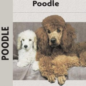 Poodle: A Comprehensive Guide to Owning and Caring for Your Dog (Comprehensive Owner's Guide)