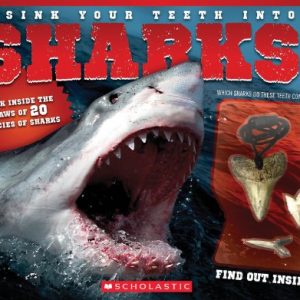 Sink Your Teeth Into Sharks!