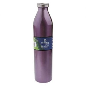 TAL 20oz Modern Double-Wall Vacuum Insulated Stainless Steel Bottle 48+ Hours Cold Performance