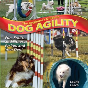 The Beginner's Guide to Dog Agility