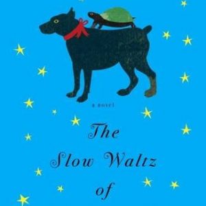 The Slow Waltz of Turtles: A Novel