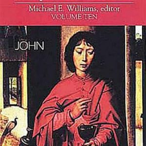 The Storyteller's Companion to the Bible, Vol. 10: John